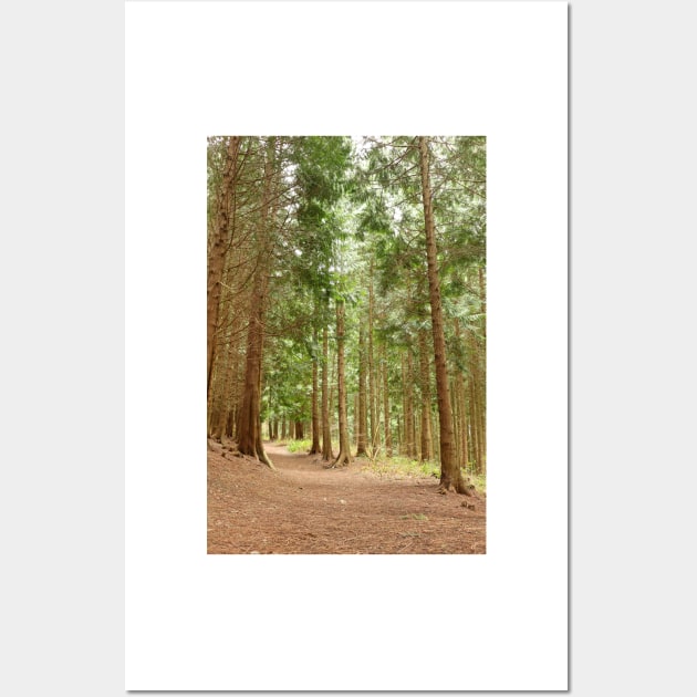 Green Pine Trees Wall Art by pinkal